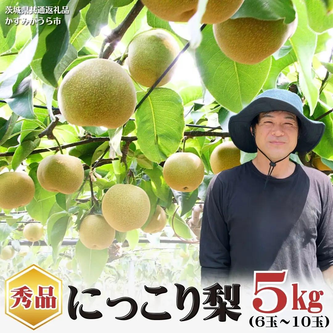 【先行予約】《秀品》にっこり梨 5kg 6玉～10玉（茨城県共通返礼品／かすみがうら市）[ED001sa]