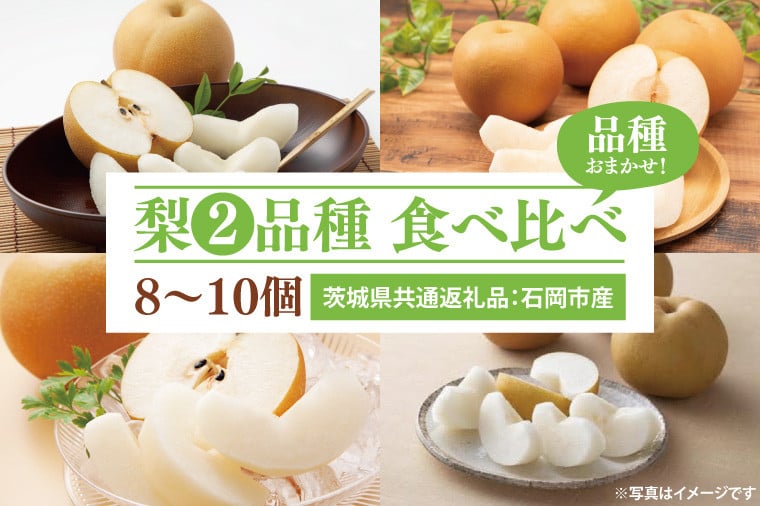 
梨 2品種 食べ比べ 8~10個（茨城県共通返礼品：石岡市産） ※2024年8月～11月下旬頃に順次発送予定（CD072）
