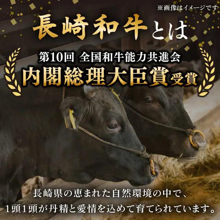 【全6回定期便】「希少部位」長崎和牛 ヒレ ステーキ 計1.8kg (約300g/回)【黒牛】[QBD030]
