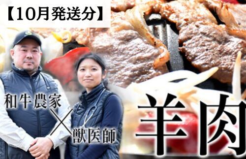 【ふるさと納税】［2025年10月下旬発送分］国産ジンギスカン肉250g（250g×1パック）　国産羊肉　液体急速冷凍