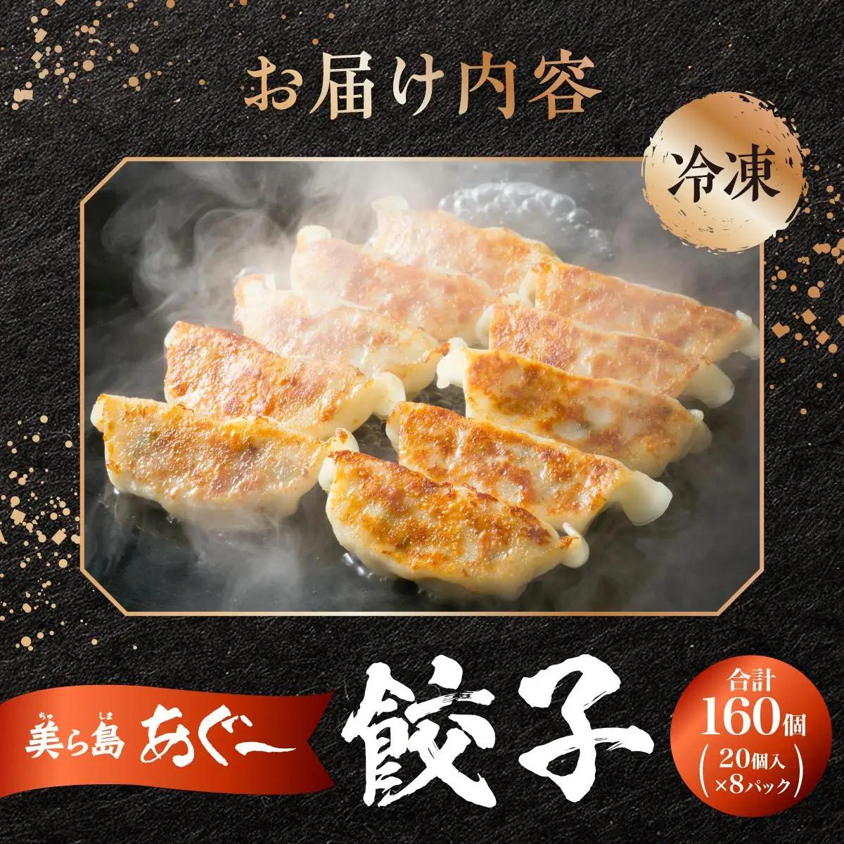 【美ら島あぐ～】餃子（160個入り／8パック×20個入り）   