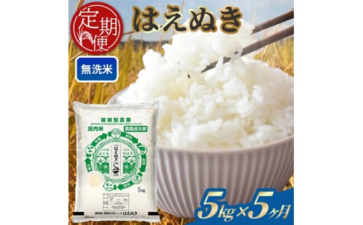 【5回定期便】令和7年産 ［無洗米］はえぬき　5kg×5回(計25kg) SM0055