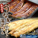 【ふるさと納税】【選べる】うなぎ蒲焼き&白焼き120g (無頭) 交互にお届け（内容量：各1尾/各2尾）（定期便：2回/3回/6回/12回）- 魚介 国産 海鮮 魚 かばやき 鰻 ウナギ 惣菜 おかず お手軽 加工品 加工食品 しらやき セット 食べ比べ 高知県 香南市【冷凍】