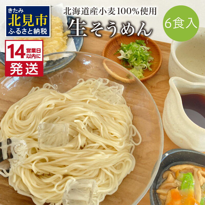 【ふるさと納税】【お中元】《14営業日以内に発送》【北海道産小麦100％使用】津村製麺所がつくる 生そうめん 6食入