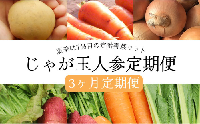 
【定期便3回コース】 じゃが玉人参セット 約5kg じゃがいも・玉ねぎ・人参の定番野菜 3品目の野菜詰め合わせ 夏季は7～8品目 野菜 セット 大村市 古瀬青果 [ACBD009]
