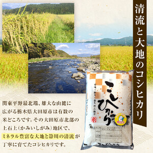 【寄附額を見直しました！】令和7年産 大田原市 藤田farmのコシヒカリ 【無洗米】 5kg ｜栃木県産 米 お米  コメ こしひかり コシヒカリ 栃木県 【選べる容量】5kg 10kg  数量限定