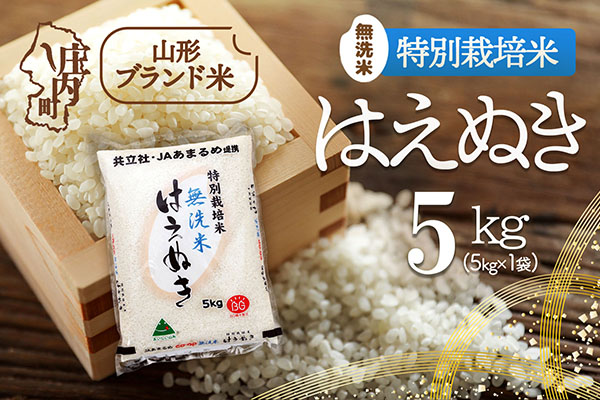 庄内町産 特別栽培米はえぬき無洗米 5kg 令和7年産 2025年産 ブランド米 コシヒカリの原点、亀の尾発祥の地 庄内