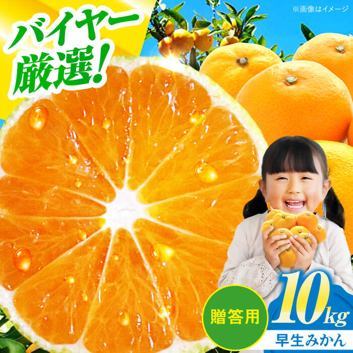 【ふるさと納税】【贈答用】 早生 みかん 10kg | 人気 おすすめ ランキング おいしい 甘い 柑橘 温州ミカン 果物 ギフト フルーツ 大洲市/有限会社西山青果[AGAR009] 30000 30000円 以下