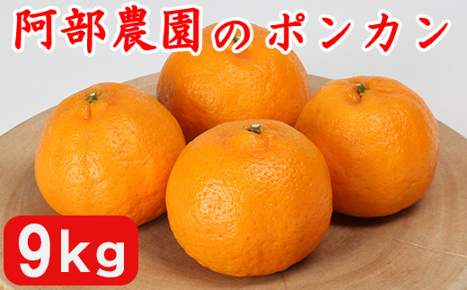 
                  阿部農園の「ポンカン 約9kg」 ／ ミカン みかん 蜜柑 柑橘類 先行予約 1月 2月 数量限定 フルーツ ＜112-005＞
                