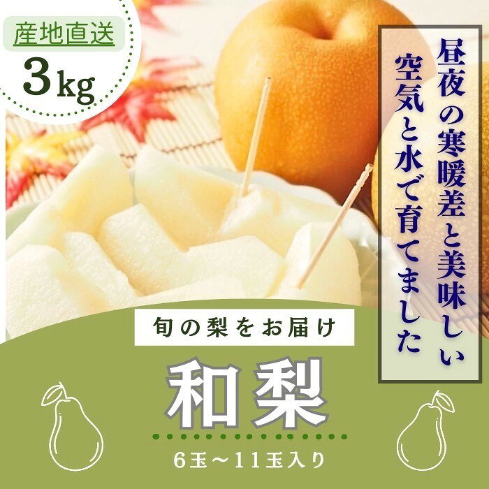 【ふるさと納税】秋の味覚 和梨（幸水・豊水・新高・南水） 家庭用 約3kg 和梨 フルーツ 果物 産地直送 デザート【BARU バイオジャパン吉村株式会社】[B2-9908]