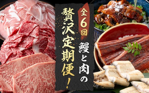 【定期便全6回】鰻と肉の贅沢定期便！鰻とお肉が交互に届くお楽しみ便 t0101-005