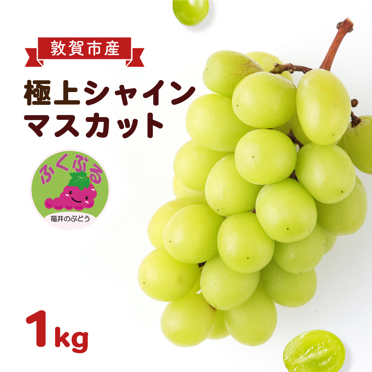 シャインマスカット 「ふくぷる」 1kg 敦賀市産  生産者直送！ 福井の ブランドぶどう 【マスカット ぶどう ブドウ 葡萄 旬 フルーツ 果物 くだもの 果実 大粒 種なし 人気 訳あり お中元 ギフト 贈り物 贈答 】[003-a103]