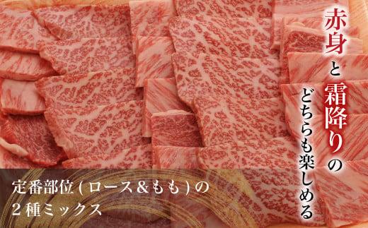 飛騨牛 焼肉 食べ比べ （ ロース / もも肉 ） 1kg（500g×2） | A5等級 牛肉 和牛 ブランド牛 霜降り 雌牛 牝牛 バーベキュー キャンプ 飛騨高山 肉の朝日屋 JX018
