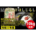 【ふるさと納税】No.002 ほしじるし 玄米 10kg ／ お米 大粒 極旨熟成 もちもち 送料無料 茨城県