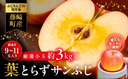 
                  【先行予約】葉とらず サンふじ 厳選 小玉 約3kg 【アップルアーク】 青森りんご 林檎 リンゴ ご家庭用 訳あり 葉取らずりんご 発祥の地 果物 フルーツ 青森県産 藤崎町 おすすめ F41-0002
                