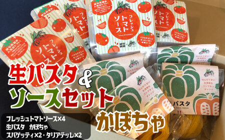 生パスタ&ソースセット かぼちゃ  生 パスタ 麺 食品 保存 備蓄 生麺 グルメ スパゲティ 本格 小麦 タリアッテレ 国産 めん 麺類