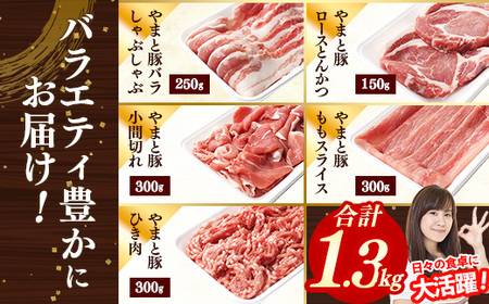 岩手県産やまと豚５種約1.3kg  国産 肉 豚肉 やまと豚 鍋 焼肉 豚ロース 豚バラ 豚こま モモスライス ひき肉 とんかつ 生姜焼き しゃぶしゃぶ 真空パック 小分け 冷凍 岩手県 岩手町