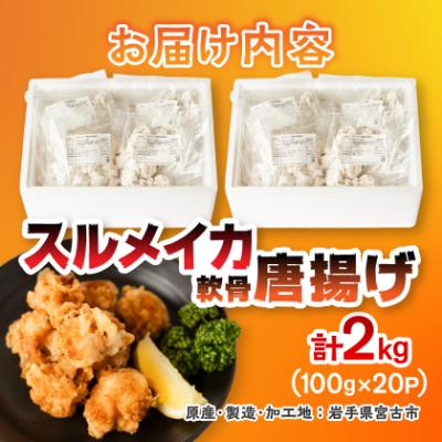 ふるさと納税 宮古市 スルメイカ軟骨唐揚げ100g×20パック(2kg) |  | 03