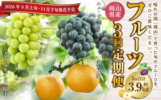 【3回定期便】岡山県産 フルーツ定期便コース （ニューピオーネ ・ 晴王 ・ あたご梨） 【2026年9月上旬発送開始】 ／ 3回 葡萄 ぶどう シャインマスカット マスカット 梨 なし 果物 果実 フルーツ 旬 定期便 岡山県 美咲町 冷蔵 常温