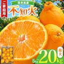 【ふるさと納税】訳あり 不知火 みかん 5kg 10kg 20kg | 玉名 熊本 ご家庭用 フルーツ 果物 規格外 不揃い 傷あり 露地栽培 農家応援 熊本県