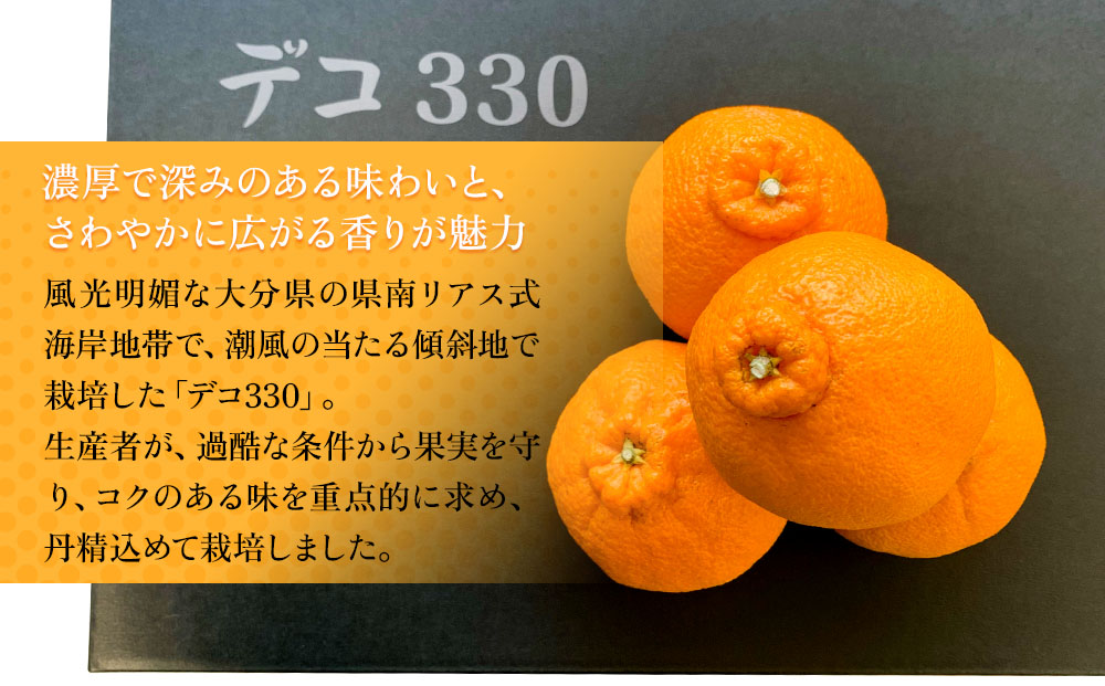 完熟みかん デコポン デコ330 約3kg ミカン 蜜柑 オレンジ 果実 旬のフルーツ 大分県産 九州産 津久見市 国産【tsu000604】