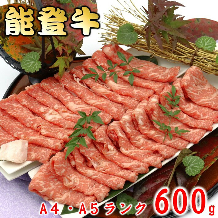 【ふるさと納税】 黒毛和牛 能登牛 ロース 600g すき焼き A4 - A5 ランク 0.6kg 厳選 特別賞 受賞 うし ギフト 牛 牛肉 国産牛 肉 ロース肉 霜降り 鍋料理 ブランド ブランド牛 父の日 贈答 お歳暮 お中元 等級 高級 グルメ 味覚 精肉 冷蔵 数量限定 おすすめ 北陸 石川 羽咋