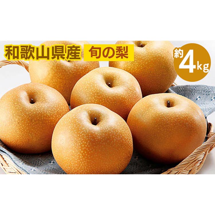 ◆先行予約◆和歌山県産 旬の梨 約4kg ※2025年8月中旬～9月中旬頃に順次発送予定 ※離島への配送不可