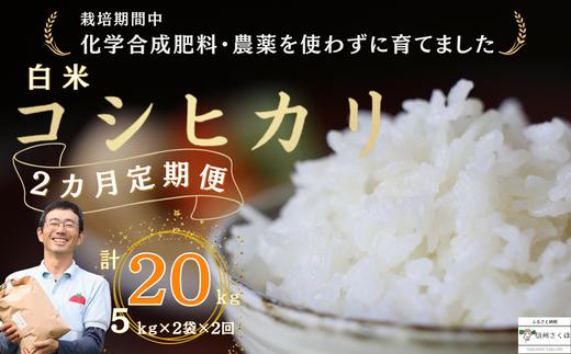 定期便　白米　20キロ　炊きあがりのつやと香りが良く、うま味も強い　コシヒカリ　佐久穂とさや農園〔ST-W5-2-T2〕５キロ×２袋　２カ月　計20キロ