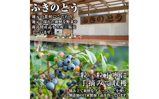 A-041 ブルーベリージュース・ジャムセット【ふきのとう】