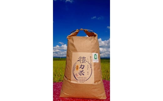 
            令和7年度産　體力米（たいりょくまい）コシヒカリ 玄米 10kg ｜ 米  ブランド米 栃木県 大田原市
          