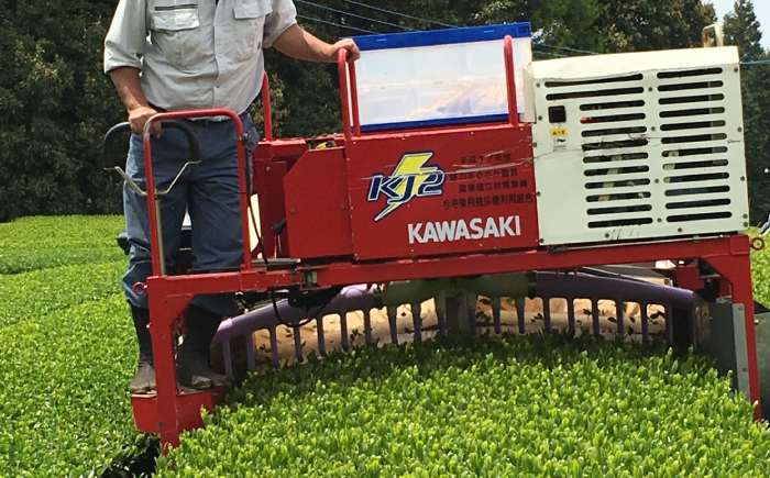 うれしの紅茶 生産者 KJセット 【うれしの紅茶振興協議会】 NAP003