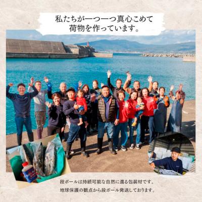 ふるさと納税 田野町 【四国一小さなまち】★訳あり★高知県産カツオのわら焼きタタキ(自家製タレ付)1kg〜2ヶ月定期便〜 |  | 03