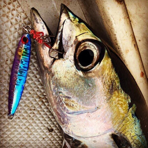 ルアー メタルジグ 5本セット 【 釣り具 釣具 ジグ 】