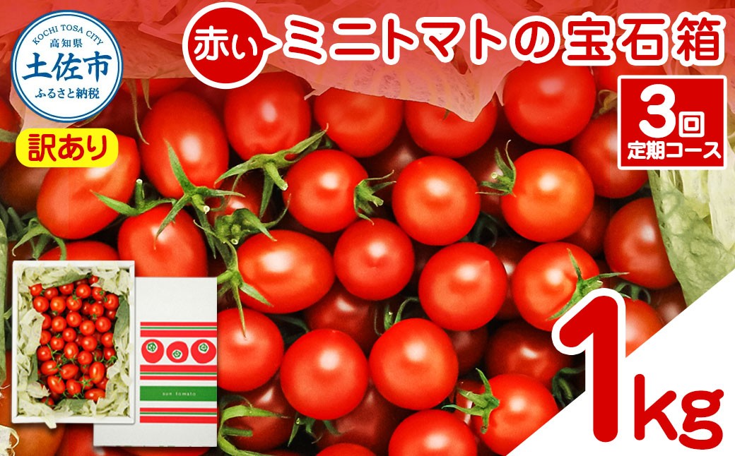 
                  【訳あり】【全3回定期便】【先行予約】訳あり 赤いミニトマトの宝石箱 約1kg〈2026年12月から配送開始〉 約1キロ 3回定期便 トマト とまと ミックス 詰め合わせ セット 野菜 料理 サラダ マリネ 浅漬け おやつ 弁当 訳アリ 家庭用 高知県 土佐市【ファーム輝】 [BQBM012]
                