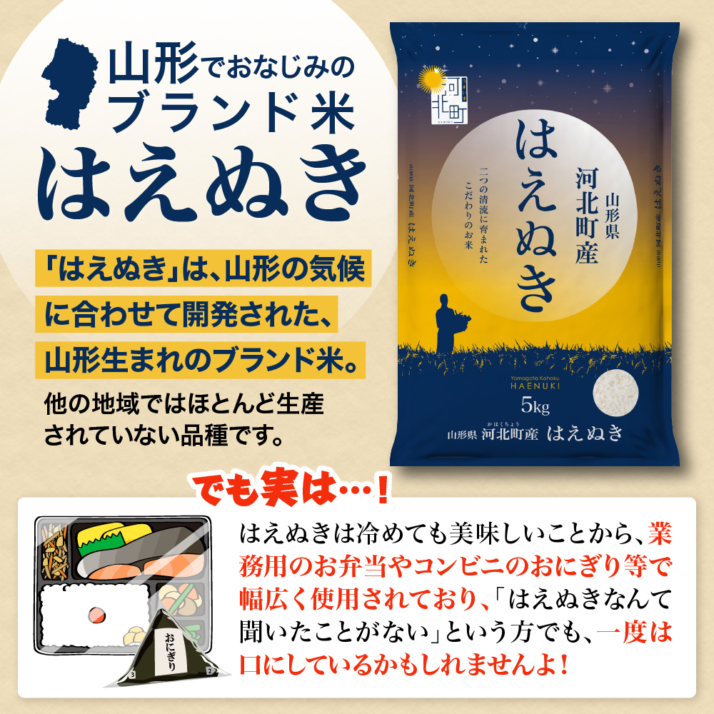 【令和8年産米】2027年5月下旬発送 はえぬき10kg 山形県産 【米COMEかほく協同組合】