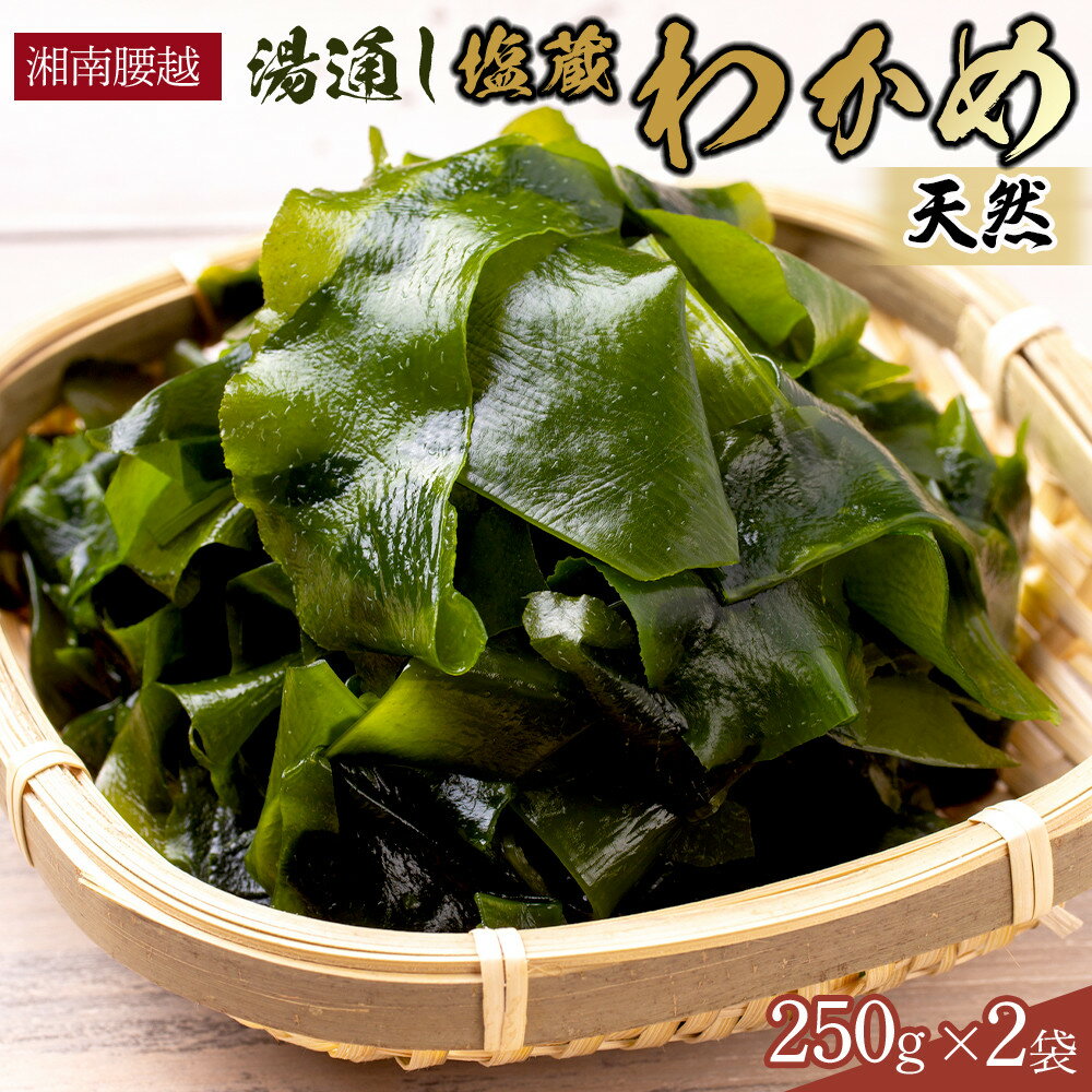 【ふるさと納税】【湘南腰越名産！】湯通し「天然塩蔵わかめ」250g×2袋 | 海藻 魚介類 水産 食品 人気 おすすめ 送料無料