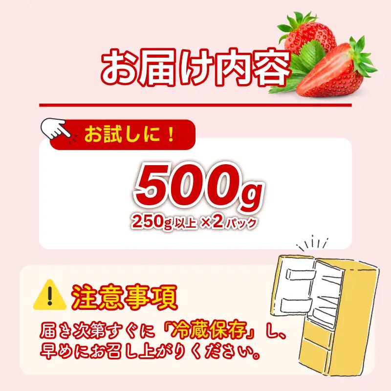 【 先行予約 】 いちご 500g 紅ほっぺ 苺 イチゴ ストロベリー