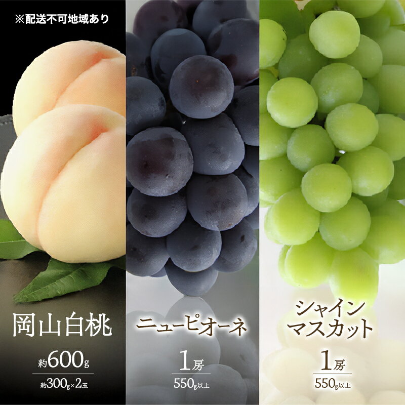 【ふるさと納税】桃 ぶどう 2026年 先行予約 白桃 2玉 合計約600g （1玉約300g） シャインマスカット 晴王 ニューピオーネ 各1房 550g以上 もも 葡萄 詰合せ 岡山 国産 フルーツ 果物 ギフト 桃茂実苑　お届け：2026年6月中旬～2026年8月中旬