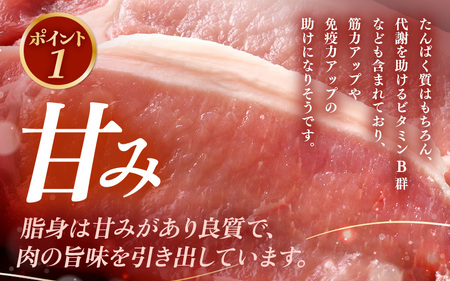 「福井県ブランド豚」ふくいポーク ロース 100g × 8枚 合計800g（2枚入り × 4p）【とんかつ トンテキ 銘柄豚 福井県産 ポーク 豚肉 切り身 ぶたにく カット済み豚ロース ポーク 豚カ