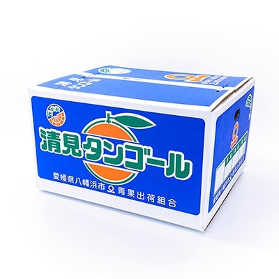 【まるで食べるジュース!越冬完熟品】愛媛産 清見オレンジ 10kg【G20−41】【1594852】