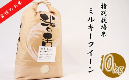 ≪令和6年産≫ 新米 【特別栽培米】 垂井町産 ミルキークイーン 10kg