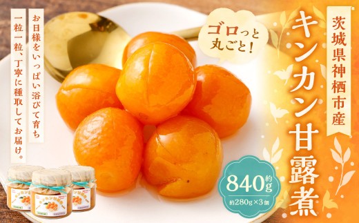 キンカン甘露煮 280g × 3個セット きんかん 金柑 キンカン 果物 くだもの フルーツ 果実 甘露煮 シロップ 甘み 柑橘 プレゼント
