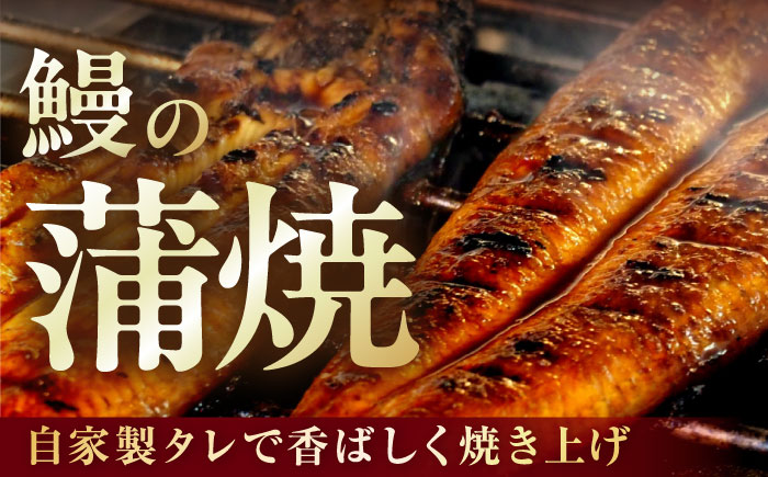 大村 鰻づくし （1）　（うなぎかば焼き1箱・うなむすび2個） [ACZL003]