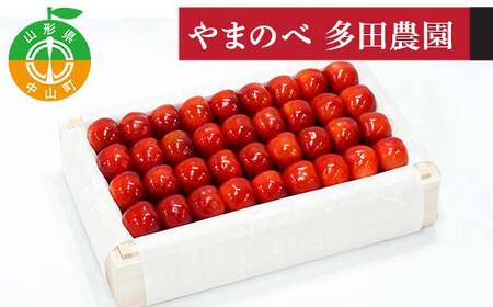 《先行予約》2026年 山形県産 やまがた紅王 特選桐箱詰 約700g やまのべ多田耕太郎のさくらんぼ F4A-1001