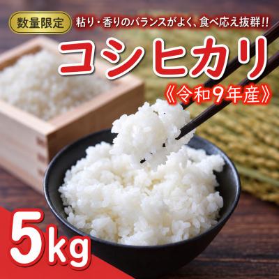 ふるさと納税 愛南町 先行予約 新米 令和9年産 コシヒカリ 5kg お米 白米 精米 田中均 愛南町 愛媛県