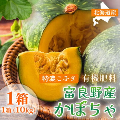 【ふるさと納税】【2026年9月中旬～発送】北海道 ふらの 特濃こふき かぼちゃ 無選別 約10kg (守田農園)【1333408】
