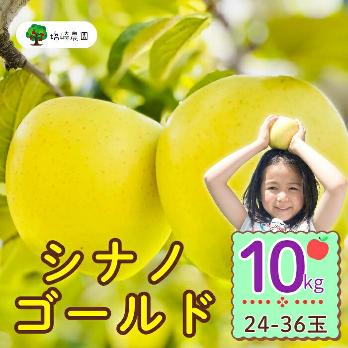 【ふるさと納税】＜先行予約＞シナノゴールド【約10kg(24〜36玉)】＜出荷開始：2025年10月下旬～11月中旬頃＞(7-A25-3)【 フルーツ りんご 長野県 飯山市 ギフト プレゼント 記念日 誕生日 父の日 母の日 敬老の日 記念品 シナノゴールド 就職内祝い 新築内祝い】