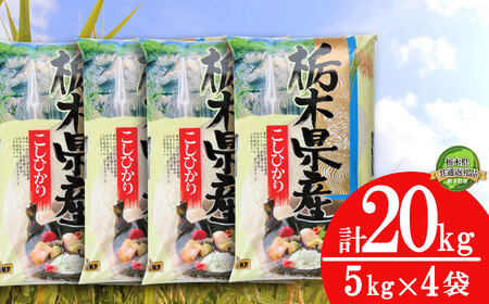 【栃木県共通返礼品・栃木県産】食味ランキング「特A」 こしひかり 20kg | 白米 精米 お米 ブランド米 栃木県 特産品 送料無料 下野市