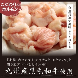 福岡名物 筑豊ホルモン鉄板焼 2人前【A5-357】