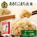 【ふるさと納税】 米 令和6年産 秋田県産 低温乾燥 玄米 あきたこまち 5～120kg 単一原料米 米 お米 こめ コメ 10kg 5kg おすすめ お中元 お歳暮 グルメ ギフト 故郷 秋田県 秋田 あきた 鹿角市 鹿角 送料無料 【こだて農園】